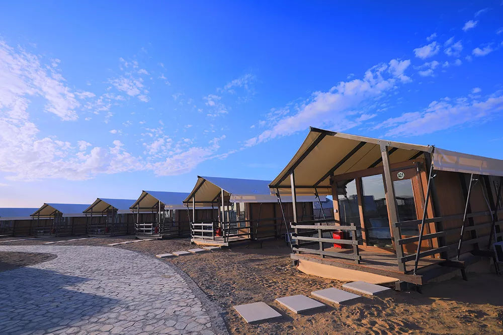 到额济纳旗怎么去胡杨林,五一去额济纳旗胡杨林好看不