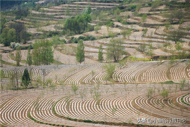 陕西周边适合冬季康养的地方,陕西凉快避暑的地方排名
