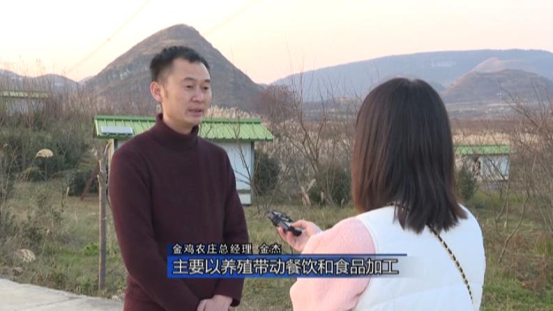 林下养鸡啄开致富路,林下养鸡致富带动贫困户