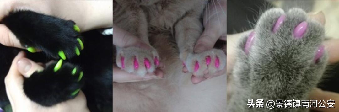 “割声带、截肢、电击,当爱变成我的噩梦”