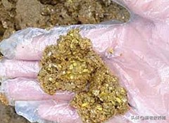 鸡消化不良按摩多长时间有效果,鸡消化不良可以用什么药