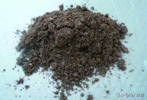 石食者THESTONEEATERS六