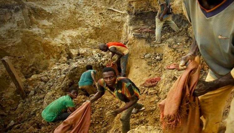 非洲流传已久的神奇巫术，治疗伤口只需蚂蚁缝合，专家：不可思议