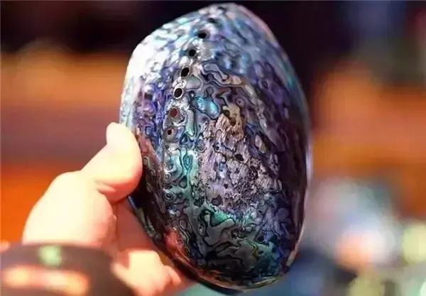 世界顶级鲍鱼菜图片,世界鲍鱼体型十大排行榜