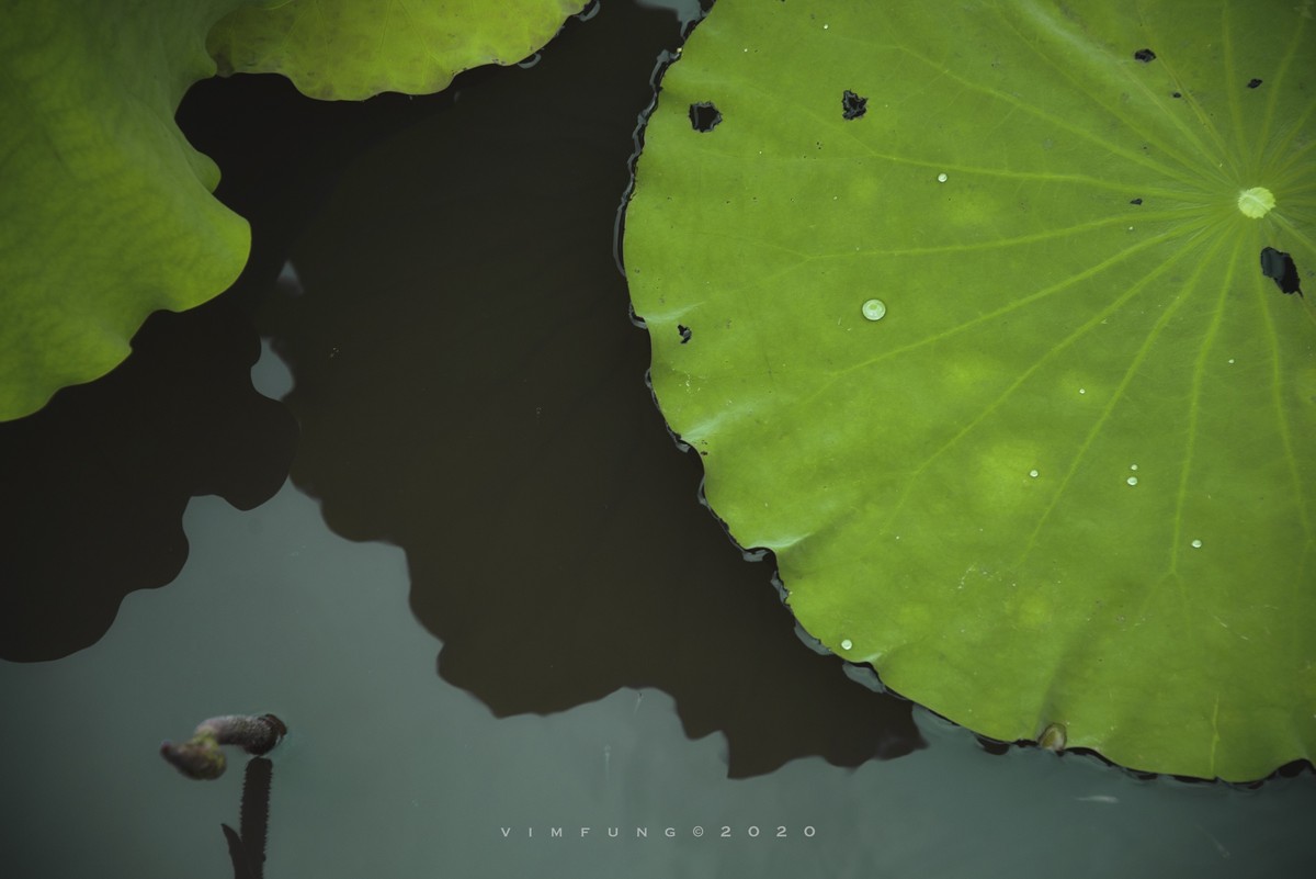 心眼最多但是从不耍心机的星座,性格多变总是让人难以捉摸的星座