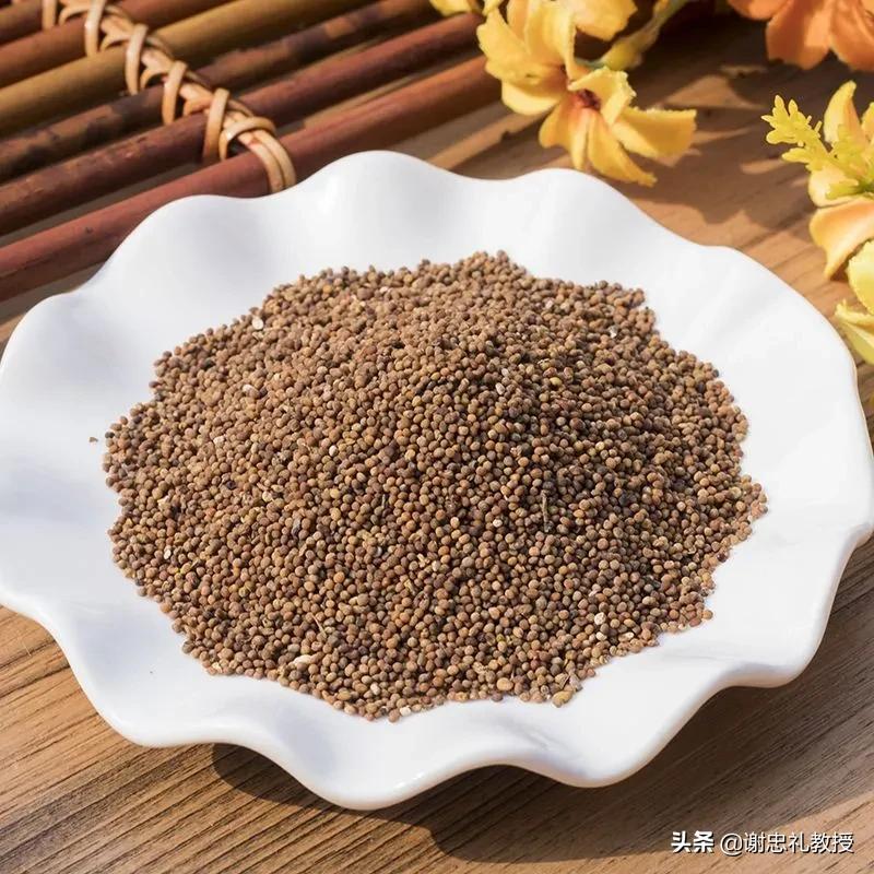 一味中药上养肺下养肾,养肝养肾的中药方子