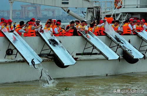 长江保护鱼类,有关长江鱼类资源保护