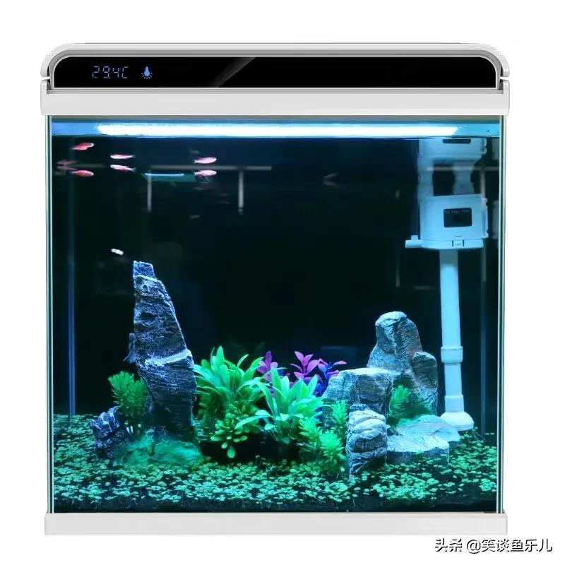 泰狮鱼缸最佳过滤方法,鱼缸用活性炭过滤水的优缺点