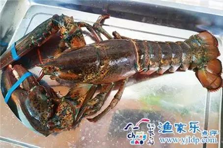 一瞥如希望中的憧憬,长岛乐驿陶的不同,是您忙碌后的期待!