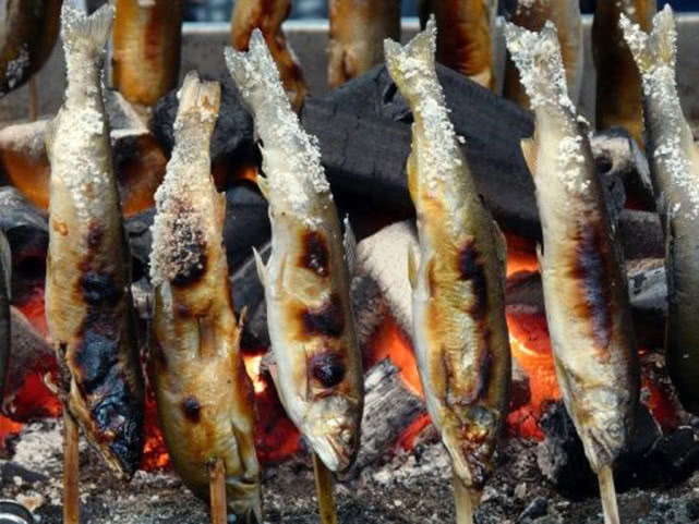 日本最好吃的几种鱼,日本最好吃的鱼有哪些