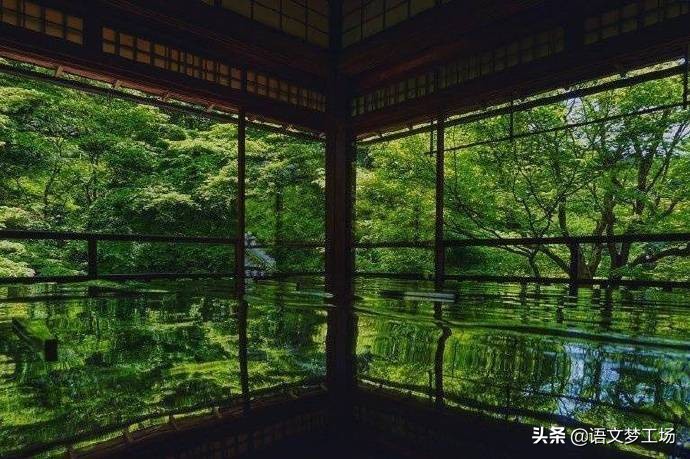 中考满分作文比较有深意的开头,中考满分作文优美语句描写和议论