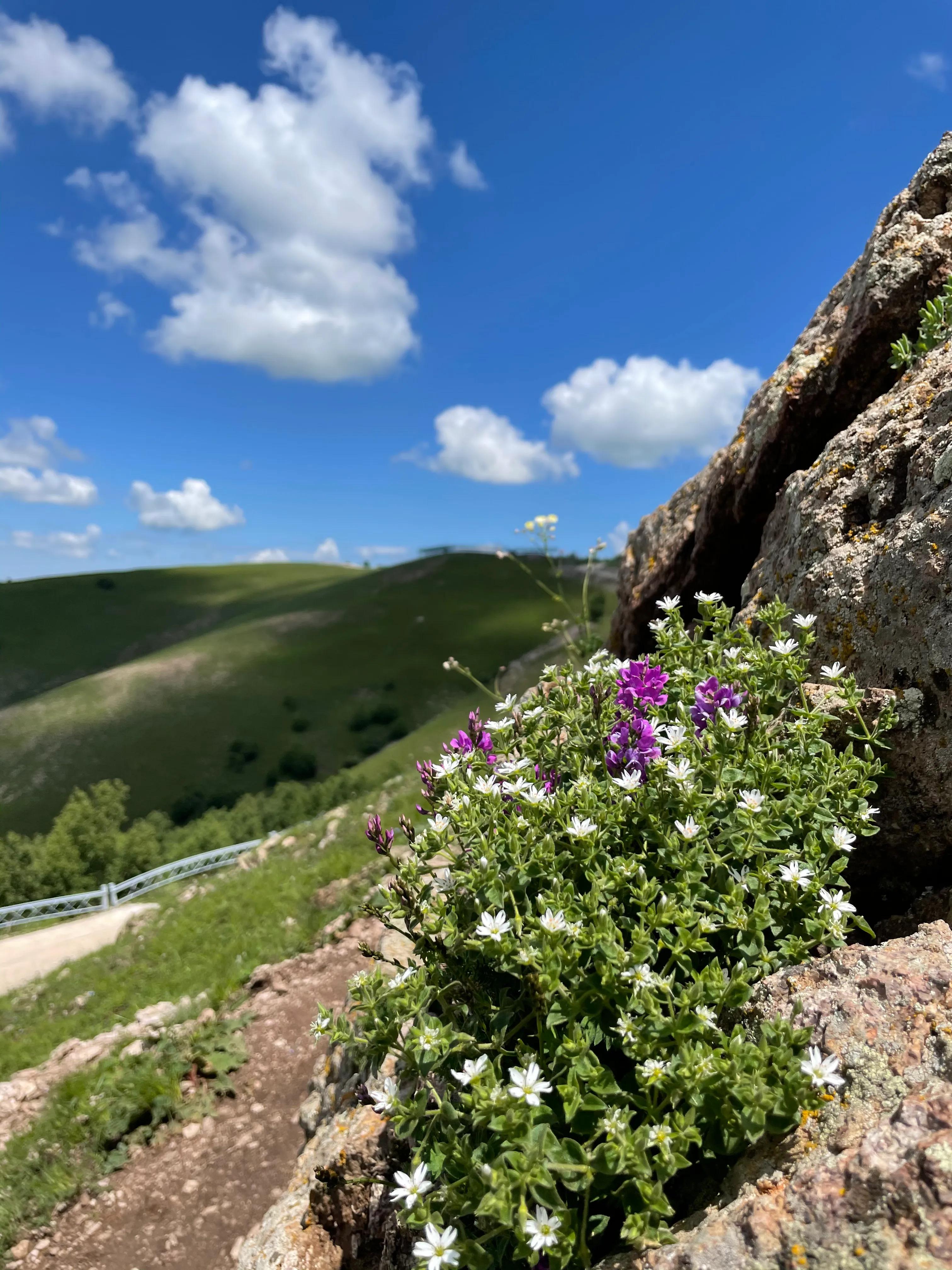 北京正北189公里-丰宁坝上草原之旅