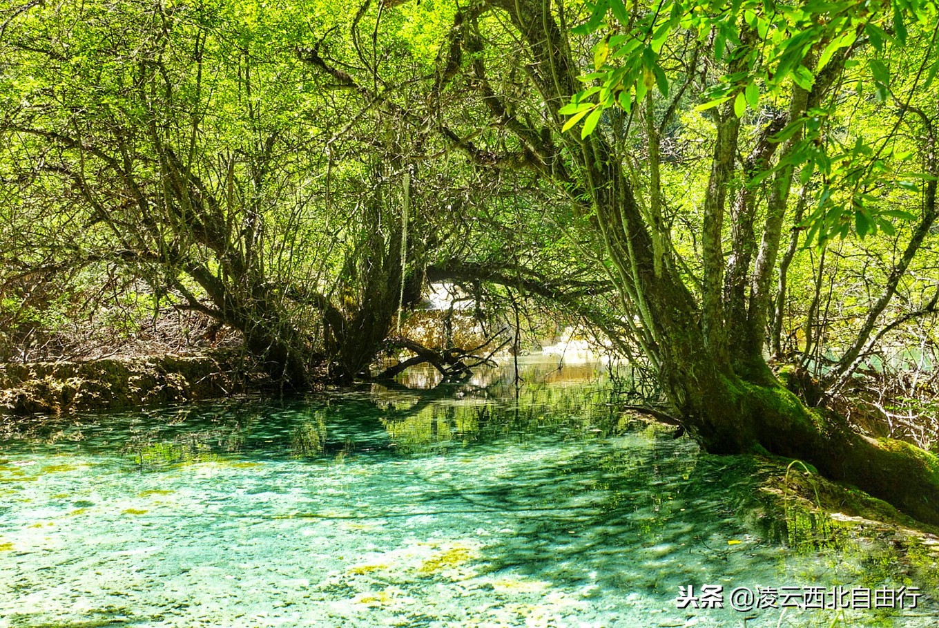 黄龙为什么被誉为中国好声音,黄龙十大风景区