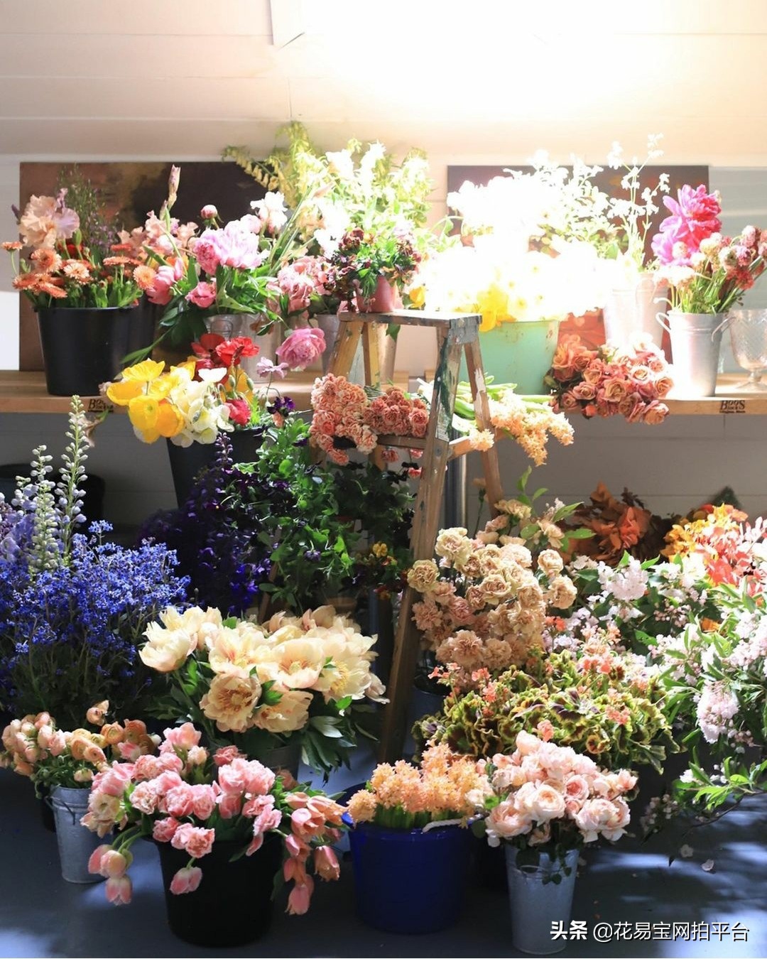 开花店必须知道的花语,开鲜花批发站点哪些点比较重要