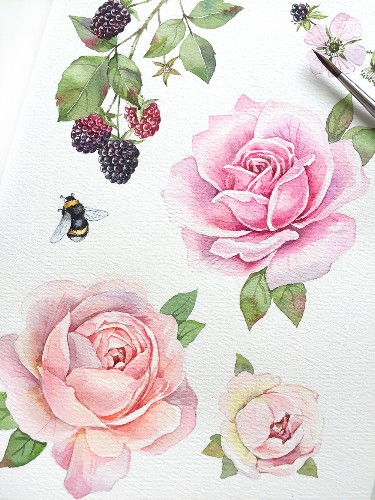 素材库找不到想要的视频怎么办,素材库的东西找不见了