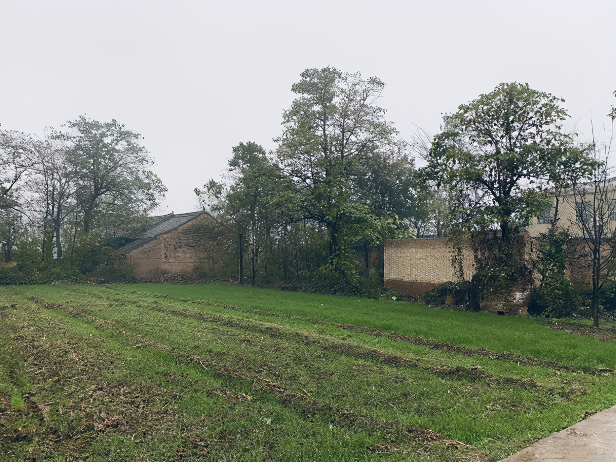 致命的霸凌结局,15岁少年因制止校园欺凌遭打死