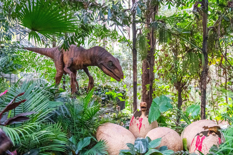 玩转广州长隆野生动物世界之行,广州长隆动物世界游玩攻略图