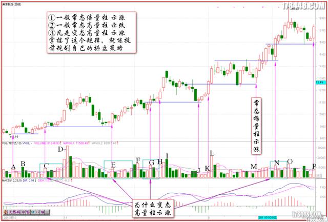 量柱识庄全套解读,量柱擒庄讲解