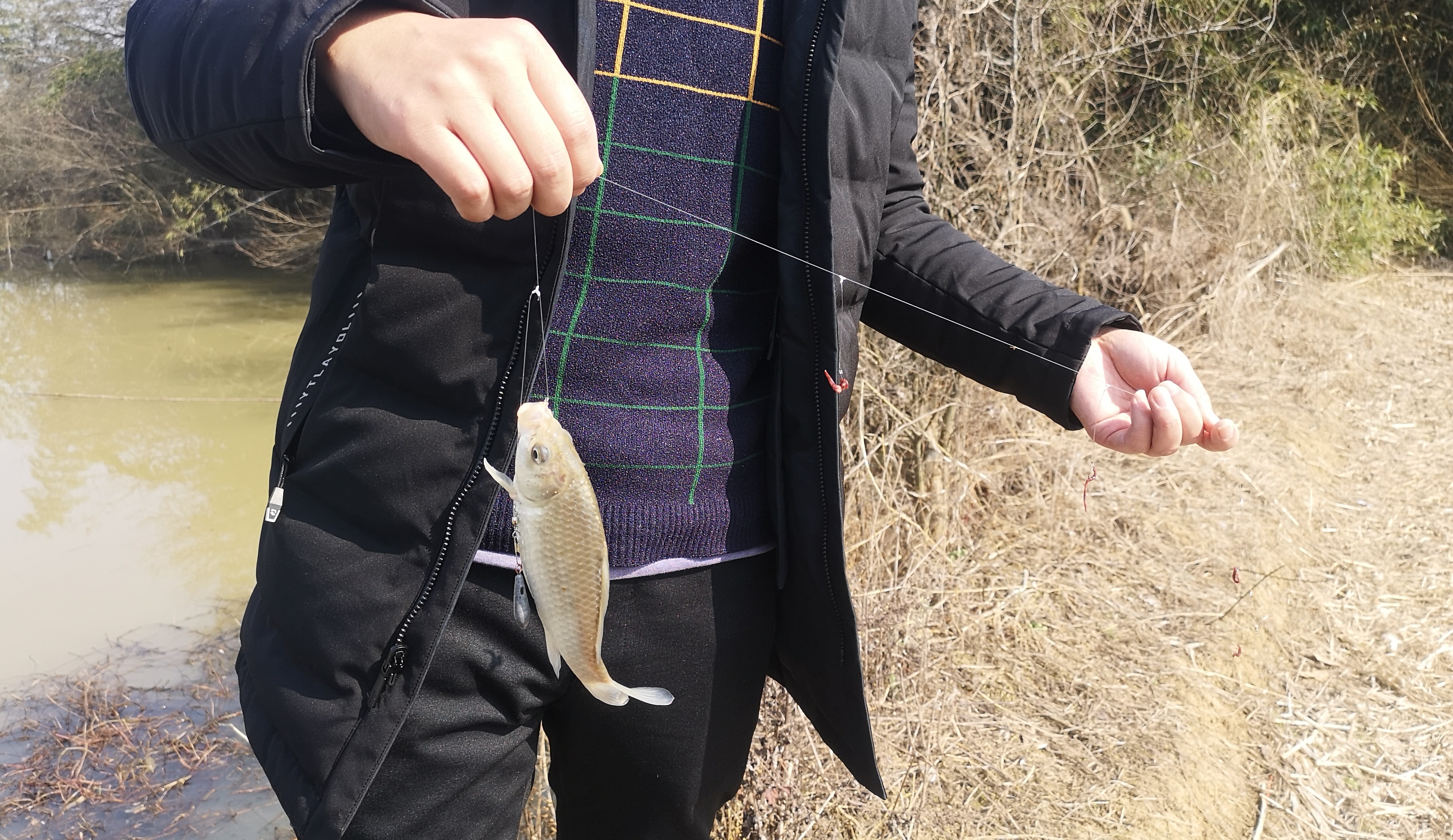 经常钓不到鱼原来是少了这个步骤,冬季晴天10度钓鲤鱼钓深还是钓浅