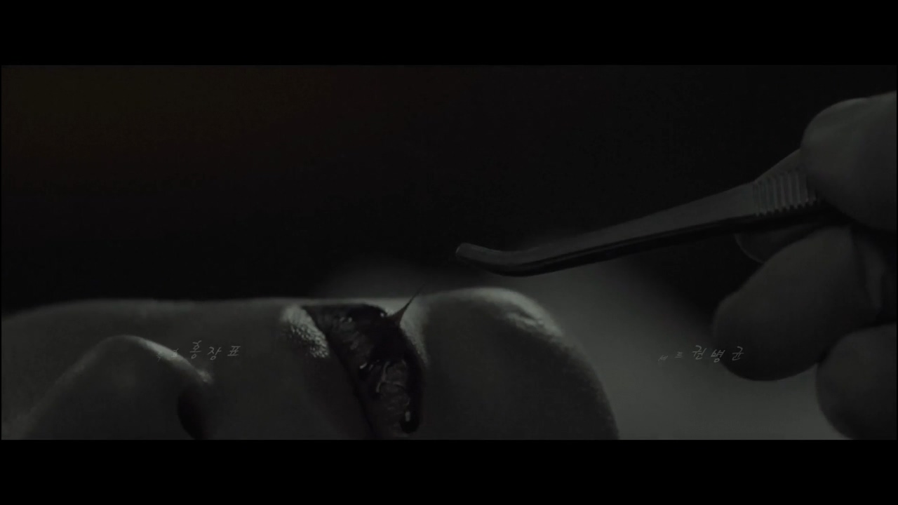 真凶韩国电影,妻子被杀丈夫寻找凶手完整版