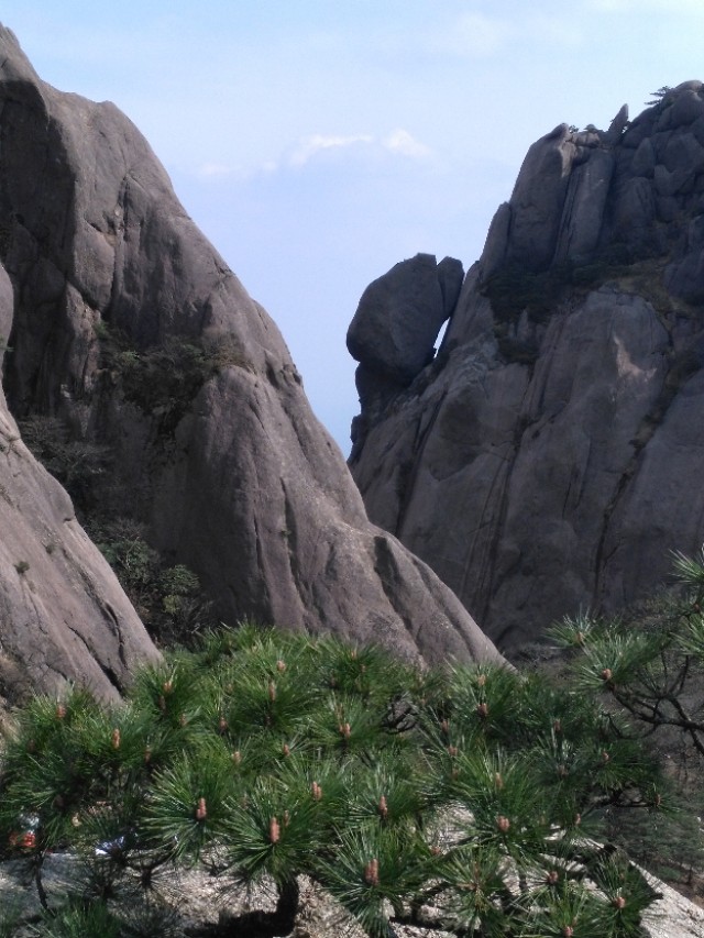 一品黄山烟,一品黄山价格表和图片