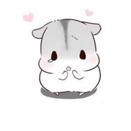 夏日女神减肥训练,夏日养成计划