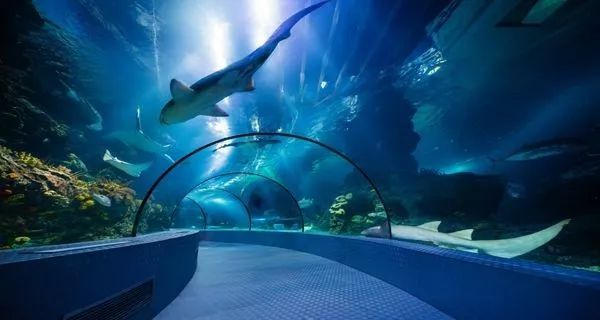 假期上海好去处,上海放假旅游好去处