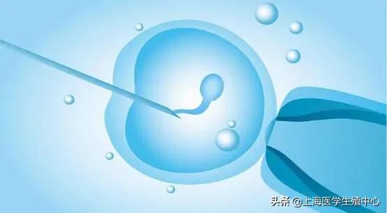 导致无精症的原因有哪些,无精症属于什么