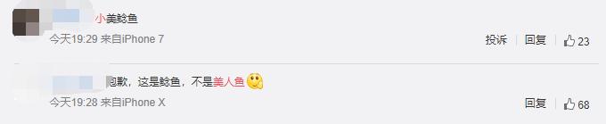 迪士尼新人鱼公主,迪士尼美人鱼国外反应