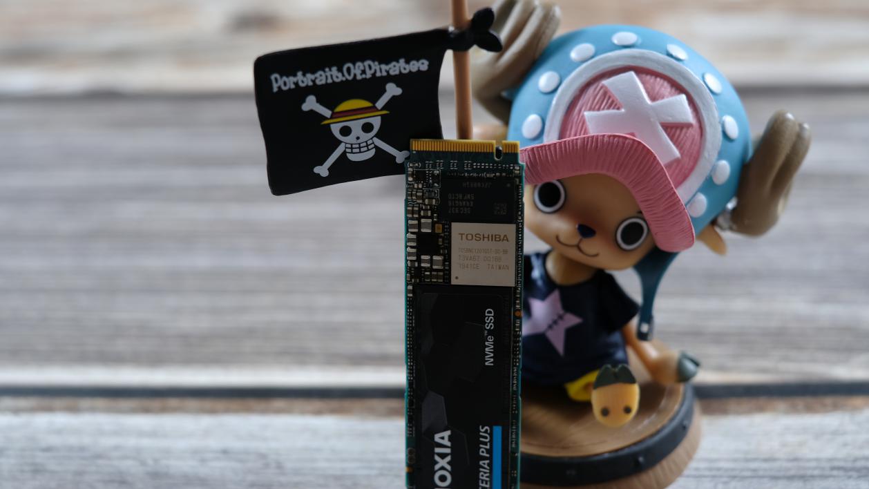 铠侠rd10硬盘怎么样,东芝铠侠rc20500gm.2nvme