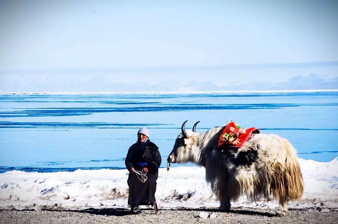 好想一起在这个古镇共度余生,我想和你去大草原的湖边是什么歌