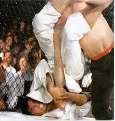 mma运动员对李小龙的评价,李小龙mma之父称号怎么来的