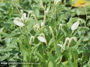 一段美好感情,一段美好的情感