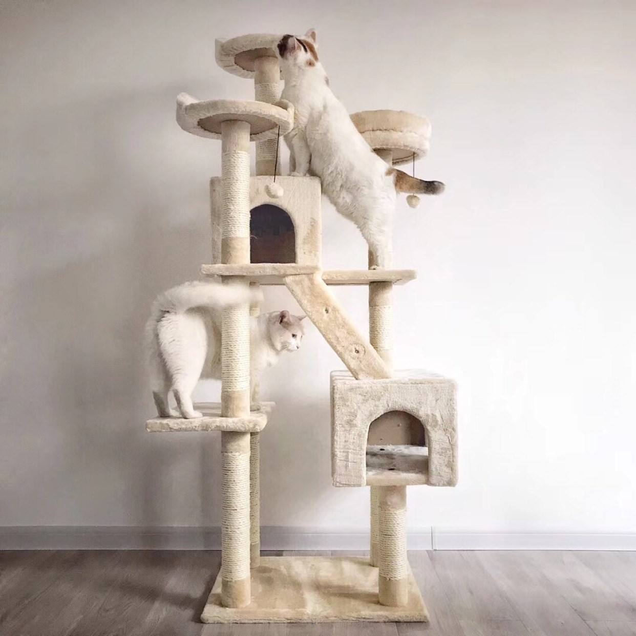 猫最好用什么猫窝,各种猫窝的视频大全