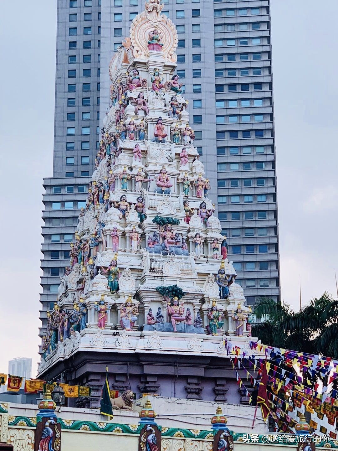 旅居新加坡的华人,旅居海外的华人
