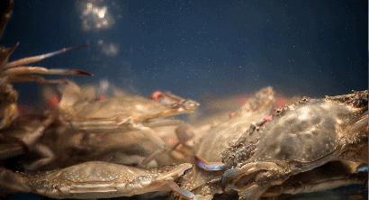 北方过年都吃什么文字图文,北方人过年吃什么美食