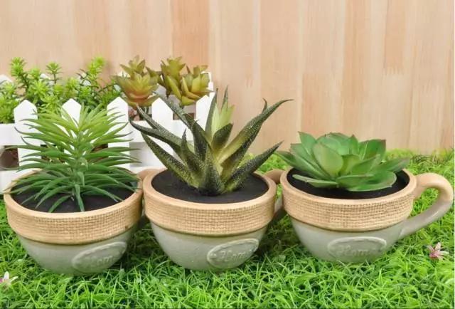 家里花瓶插花放点什么,创意养花花瓶