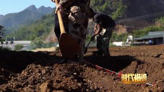 人民大会堂推销土豆,收1500个农民学生,10亿专利无偿送出,64岁的农民院士朱有勇火了!