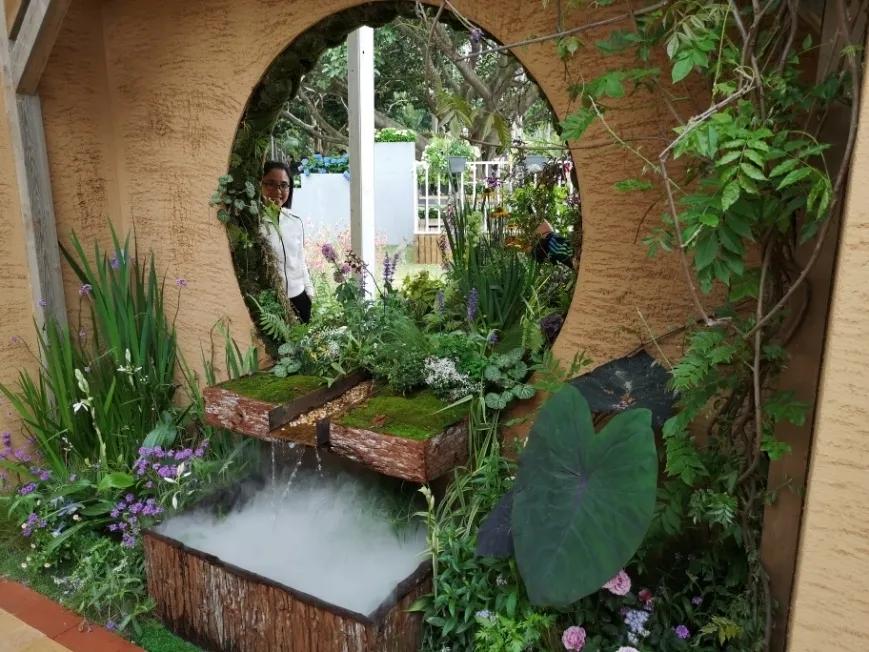 这个花展上的新优品种，为什么这么美？