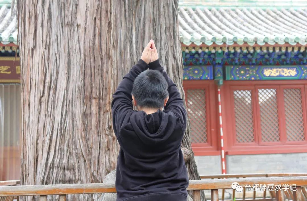 昨天刚沾了文曲星“仙气”儿,这两天学习效果就拉满了