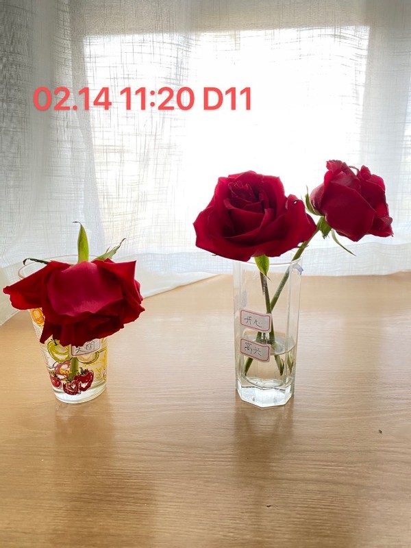 无形决定有形的说法,无形决定有形