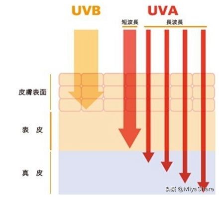 晒后美白修复精华,晒后如何快速修复你的肌肤