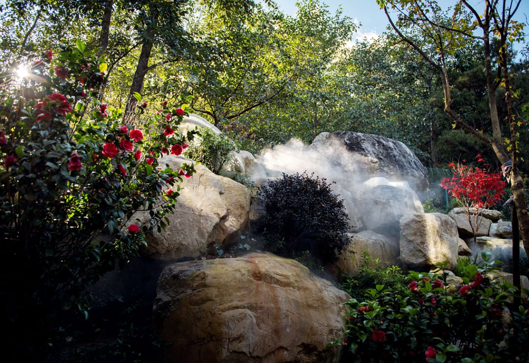 江湖人的世外江湖丨云南白药大理健康养生创意园·二进院