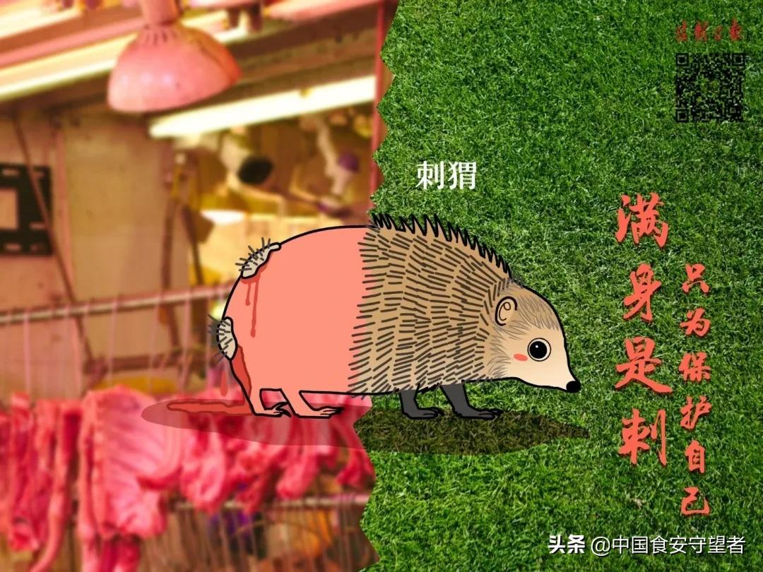 野生动物名录2021,最新三有野生动物名录