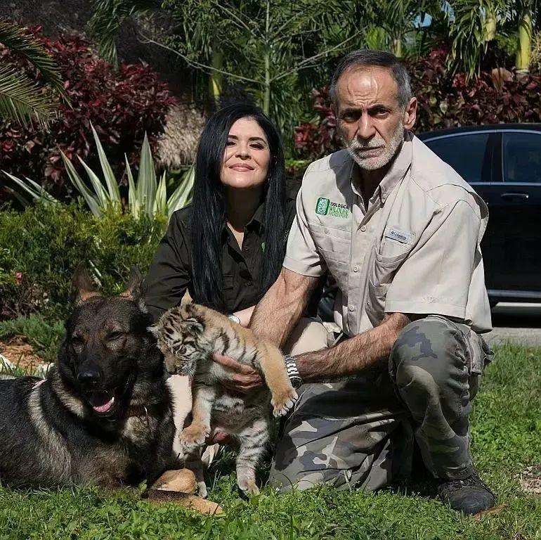 疫情中全美国都在安利这疯子电影