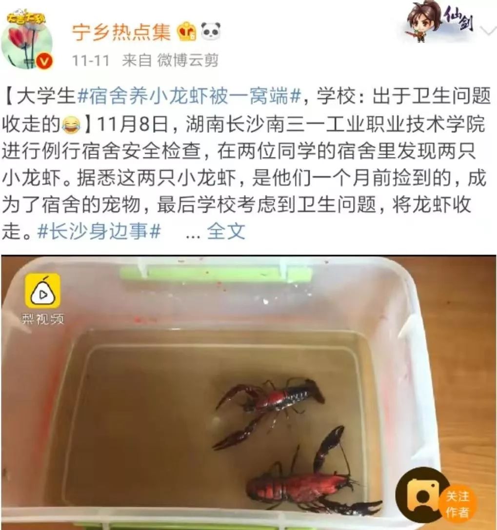 那些年舍友养过的奇葩宠物,你们身边的人都养什么奇怪的宠物