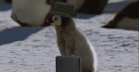 长沙特色美食的句子,长沙老字号美食顺口溜