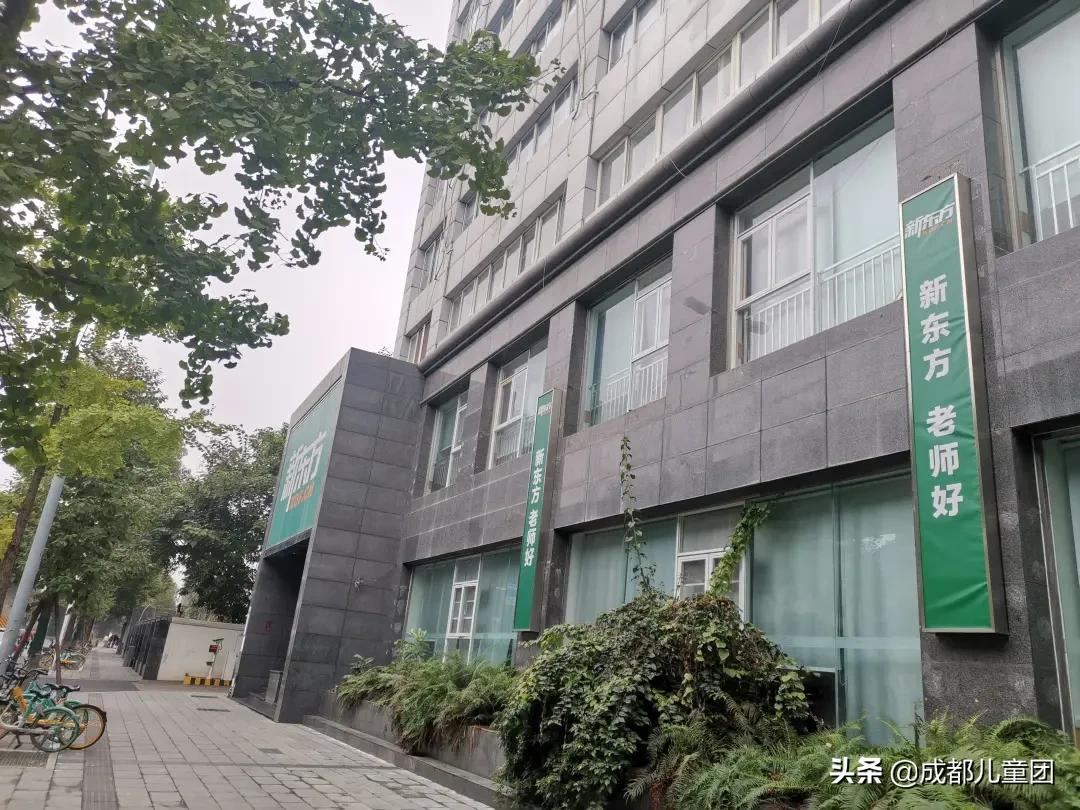 成都比较好的少儿英语培训机构,成都最好的少儿英语培训机构排名