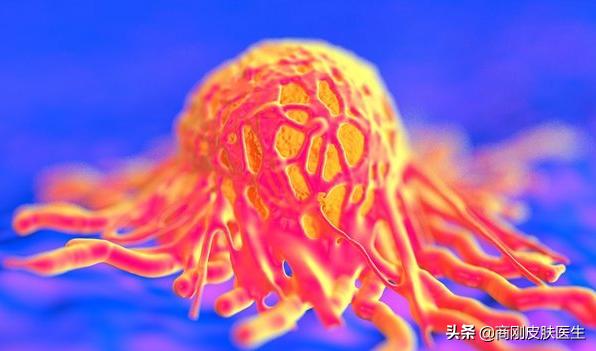 春天皮肤瘙痒，不同位置的用药办法全都教给你，这次真管用