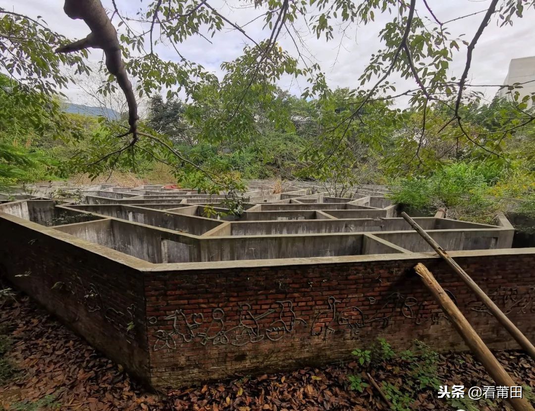 莆田快乐农庄以前的样子,莆田快乐农庄建什么